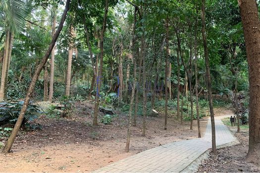 Foto 36 do(a) Apartamento de 3 quartos à venda em Vila Amélia, São Paulo