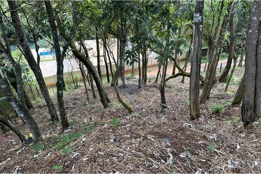 Foto 20 do(a) Terreno false à venda em Chácara Nova Essen, Campo Limpo Paulista