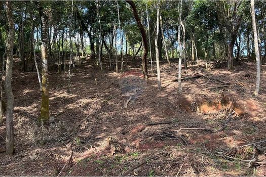 Foto 16 do(a) Terreno false à venda em Chácara Nova Essen, Campo Limpo Paulista