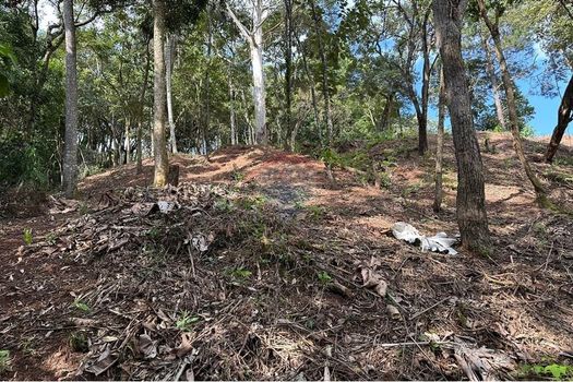 Foto 24 do(a) Terreno false à venda em Chácara Nova Essen, Campo Limpo Paulista