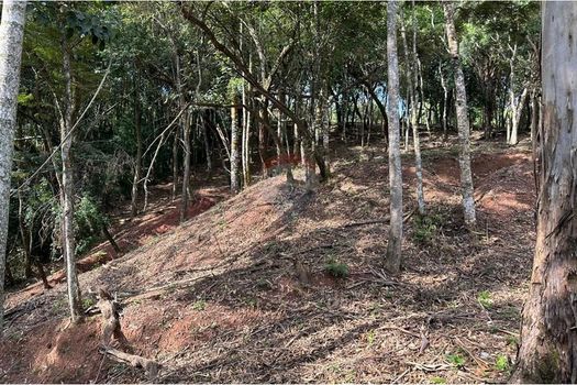 Foto 21 do(a) Terreno false à venda em Chácara Nova Essen, Campo Limpo Paulista