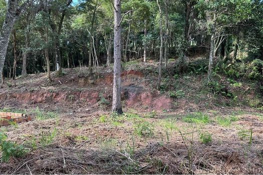 Foto 22 do(a) Terreno false à venda em Chácara Nova Essen, Campo Limpo Paulista