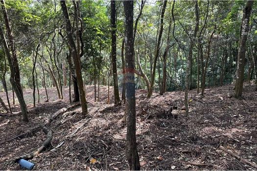 Foto 15 do(a) Terreno false à venda em Chácara Nova Essen, Campo Limpo Paulista