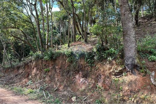 Foto 33 do(a) Terreno false à venda em Chácara Nova Essen, Campo Limpo Paulista