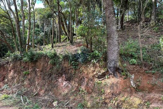 Foto 34 do(a) Terreno false à venda em Chácara Nova Essen, Campo Limpo Paulista
