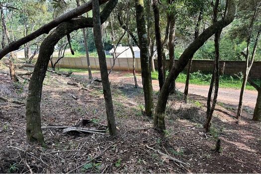 Foto 6 do(a) Terreno false à venda em Chácara Nova Essen, Campo Limpo Paulista