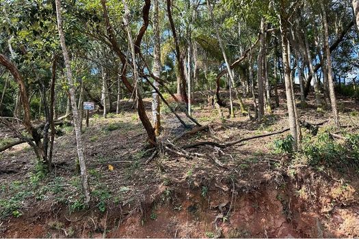 Foto 26 do(a) Terreno false à venda em Chácara Nova Essen, Campo Limpo Paulista