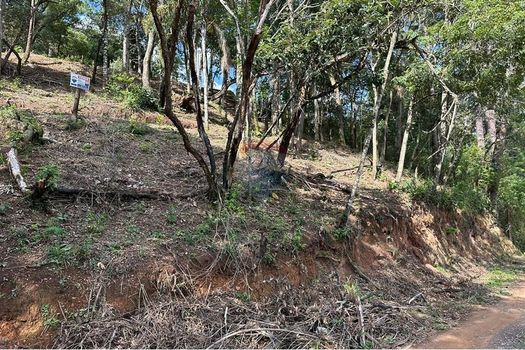 Foto 2 do(a) Terreno false à venda em Chácara Nova Essen, Campo Limpo Paulista