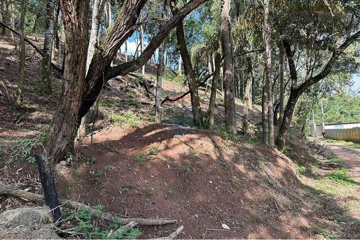 Foto 31 do(a) Terreno false à venda em Chácara Nova Essen, Campo Limpo Paulista
