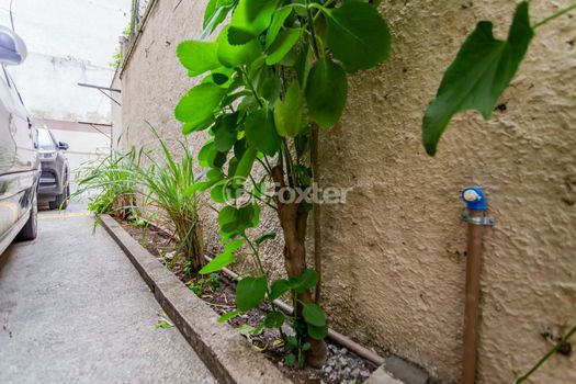 Foto 49 do(a) Cobertura de 3 quartos à venda em Vila Formosa, São Paulo