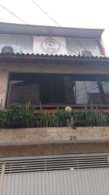 Foto 30 do(a) Casa de 3 quartos à venda em Mandaqui, São Paulo