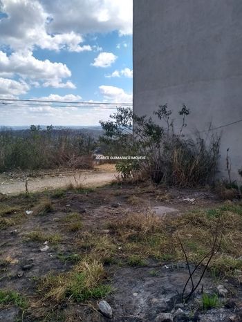Foto 3 do(a) Terreno false à venda em São Damião, Vespasiano