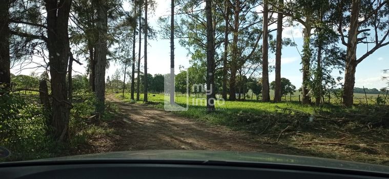 Foto 17 do(a) Fazenda / Sítio / Chácara de 4 quartos à venda em Parque Estrela Dalva VI (Pedregal), Novo Gama