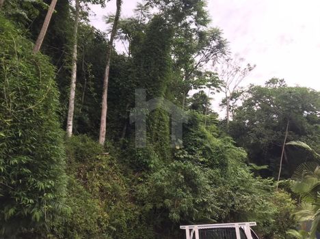 Foto 1 do(a) Terreno false à venda em Vila Nova, Jaraguá do Sul