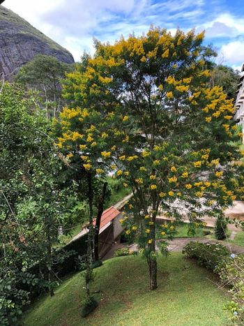 Foto 4 do(a) Casa de 5 quartos à venda em Fazenda Inglesa, Petrópolis