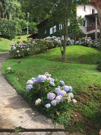 Foto 5 do(a) Casa de 5 quartos à venda em Fazenda Inglesa, Petrópolis