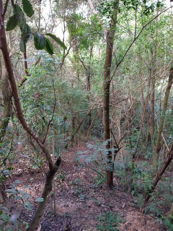 Foto 25 do(a) Casa em Condomínio de 4 quartos à venda em Reserva Bom Viver, Campo Limpo Paulista