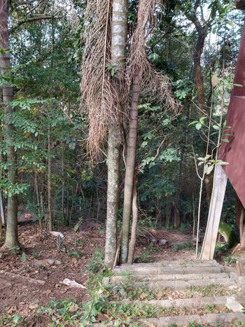 Foto 24 do(a) Casa em Condomínio de 4 quartos à venda em Reserva Bom Viver, Campo Limpo Paulista