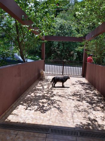 Foto 22 do(a) Casa em Condomínio de 4 quartos à venda em Reserva Bom Viver, Campo Limpo Paulista