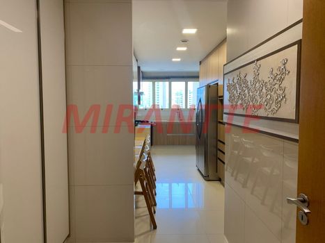 Foto 13 do(a) Apartamento de 4 quartos à venda em Santana, São Paulo