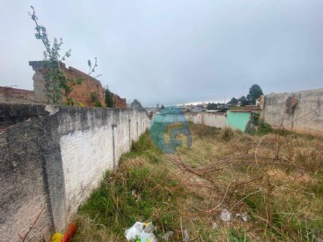 Foto 9 do(a) Terreno false à venda em Planta Deodoro, Piraquara