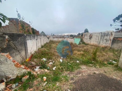 Foto 15 do(a) Terreno false à venda em Planta Deodoro, Piraquara