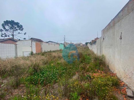 Foto 2 do(a) Terreno false à venda em Planta Deodoro, Piraquara