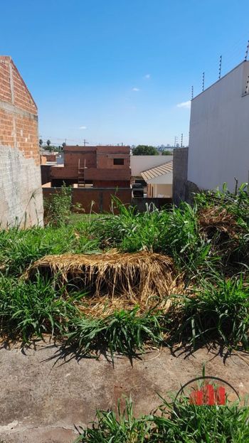 Foto 3 do(a) Terreno false à venda em Ecovalley Ecologic City, Sarandi