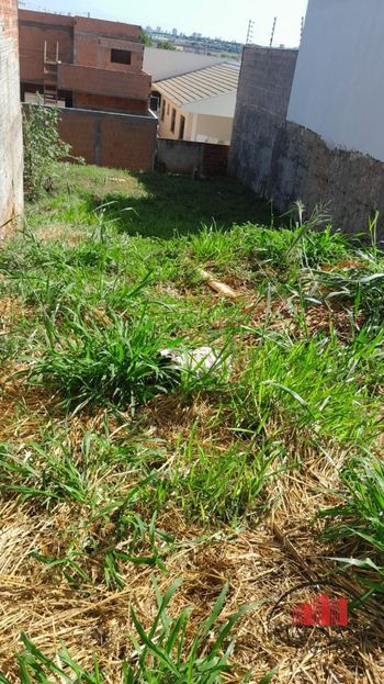 Foto 5 do(a) Terreno false à venda em Ecovalley Ecologic City, Sarandi