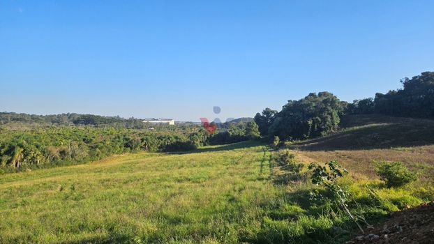 Foto 5 do(a) Terreno false à venda em Estação, Araucária