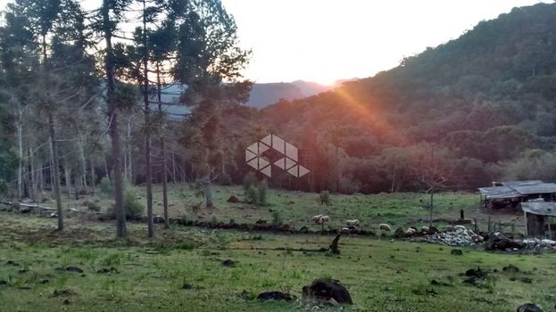 Foto 1 do(a) Fazenda / Sítio / Chácara false à venda em null, Canela