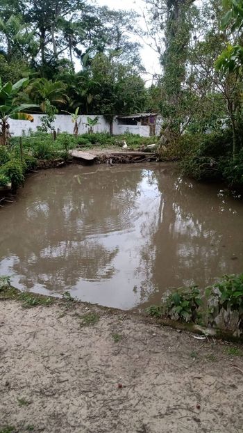 Foto 30 do(a) Fazenda / Sítio / Chácara de 1 quartos à venda em null, Itanhaém