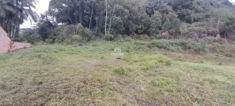 Foto 6 do(a) Terreno false à venda em Barra do Rio Cerro, Jaraguá do Sul
