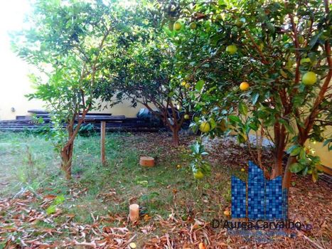 Foto 43 do(a) Casa de 3 quartos à venda em Jardim Paulista, Atibaia