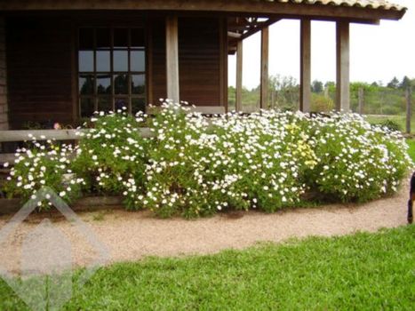 Foto 4 do(a) Fazenda / Sítio / Chácara de 3 quartos à venda em Passo do Vigário, Viamão