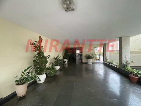 Foto 26 do(a) Apartamento de 2 quartos à venda em Santana, São Paulo