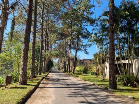 Foto 3 do(a) Terreno em Condomínio false à venda em Granja Carneiro Viana, Cotia