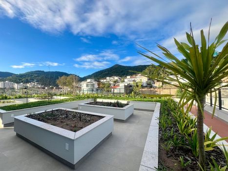 Foto 12 do(a) Kitnet / JK / Studio de 1 quartos à venda em Monte Verde, Florianópolis