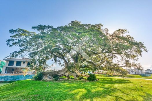Foto 19 do(a) Terreno false à venda em null, Eldorado do Sul