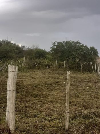 Foto 3 do(a) Terreno false à venda em Povo Novo, Rio Grande