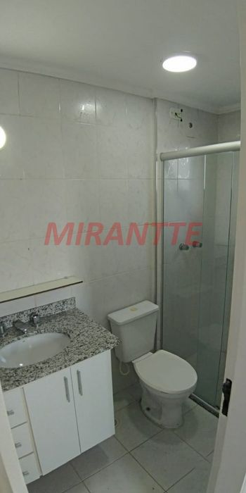 Foto 13 do(a) Apartamento de 3 quartos à venda em Vila Paiva, São Paulo
