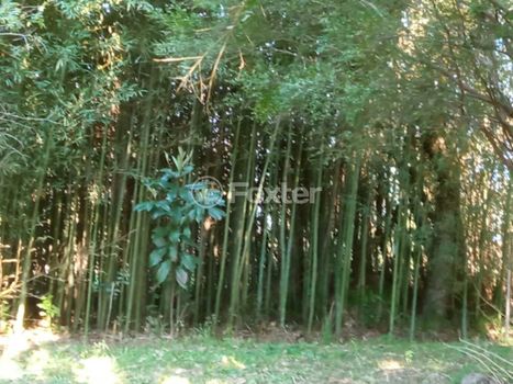 Foto 3 do(a) Fazenda / Sítio / Chácara false à venda em Fiuza, Viamão