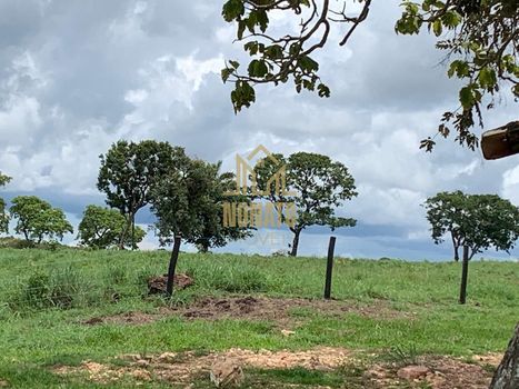 Foto 17 do(a) Fazenda / Sítio / Chácara de 2 quartos à venda em null, Uruaçu