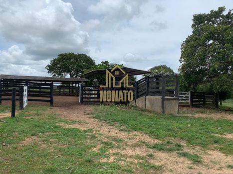 Foto 5 do(a) Fazenda / Sítio / Chácara de 2 quartos à venda em null, Uruaçu