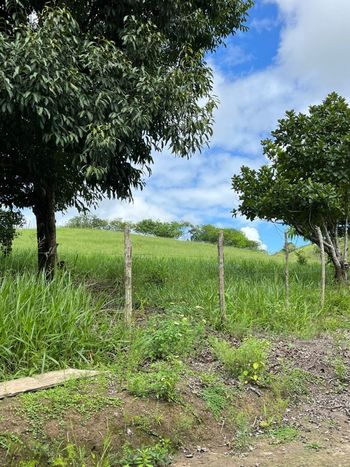 Foto 8 do(a) Fazenda / Sítio / Chácara de 3 quartos à venda em null, Flexeiras