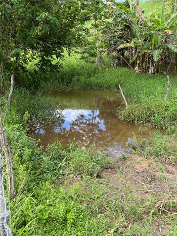 Foto 1 do(a) Fazenda / Sítio / Chácara de 3 quartos à venda em null, Flexeiras
