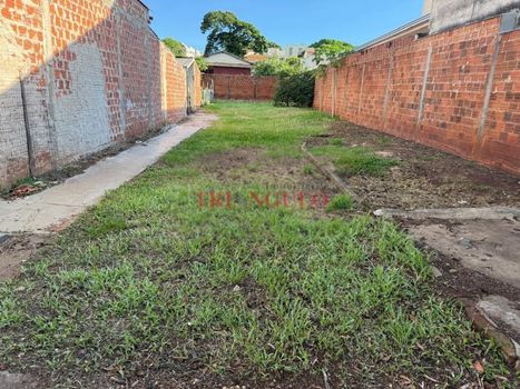 Foto 3 do(a) Terreno false à venda em Zona III, Umuarama