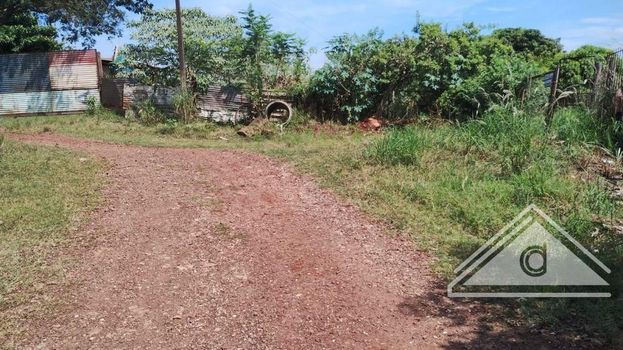 Foto 7 do(a) Fazenda / Sítio / Chácara false à venda em null, Paiçandu