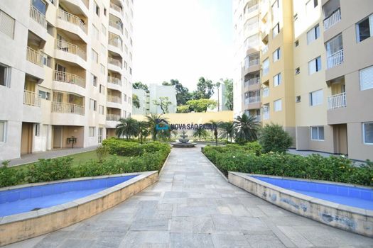 Foto 14 do(a) Apartamento de 2 quartos à venda em Jardim Maria Estela, São Paulo