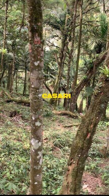 Foto 4 do(a) Terreno false à venda em Jardim Club de Campo, Santo André